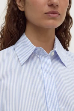 Avoca Stripe Shirt