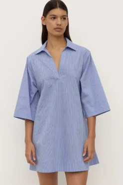 Erina Stripe Mini Shirt Dress