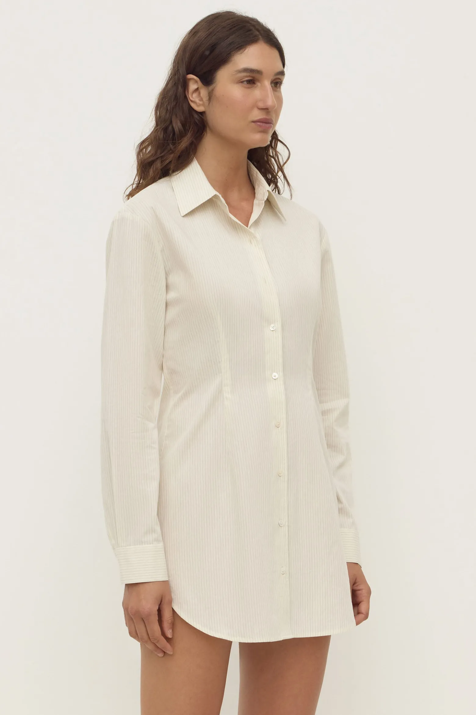 Marina Stripe Fitted Shirt Dress
