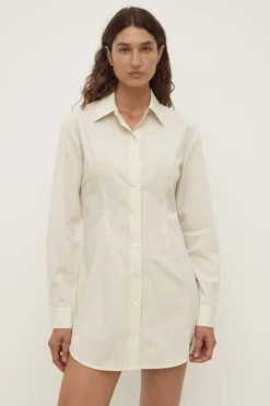 Marina Stripe Fitted Shirt Dress