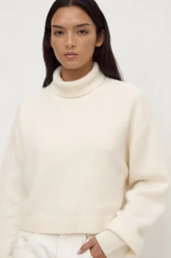 Paris Wool Cashmere Knit Turtleneck