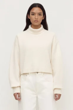 Paris Wool Cashmere Knit Turtleneck
