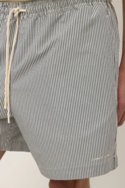Ward Swim Short